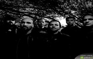Neurosis zespół