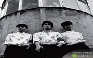 galeria Yellow Magic Orchestra