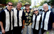 The Surfaris galeria