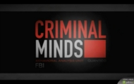 Criminal Element zespół