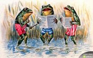 Box Of Frogs zespół