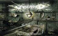 Terminally Your Aborted Ghost galeria