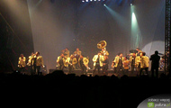 tapety Banda MS