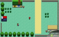 PSP Pokemon