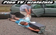 Pino TV uzależnia !
