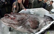 największa ryba marzenie każdego wędkarza