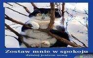 Zostaw mnie w spokoju