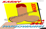 karny wacek za złe parkowanie