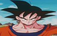 Dragon Ball Z Songo