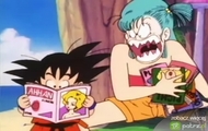Dragon Ball Bulma i Songo