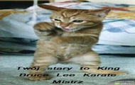 Kotek fighter:D