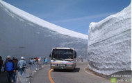crazy road 3