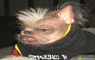 Stacho xD