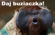 daj buziaczka