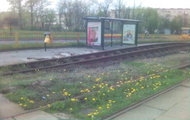 Tory tramwajowe w Łodźi :D