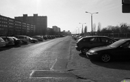 Szara rzeczywistość...i parking.