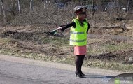 strażniczka leśna