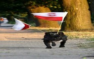 Wierny Kibic Euro 2008