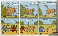 Taki kotek :P