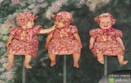 Anne Geddes 1