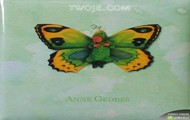 Anne Geddes 7