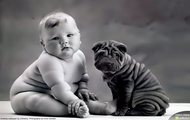 Anne Geddes 12