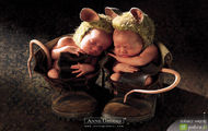 Anne Geddes 16