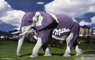 slon milka