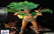 Samba Show! Pokaz Samby Brazylijskiej!