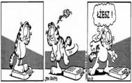 GARFIELD - ODCHUDZANIE