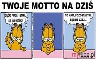 Motto na dziś