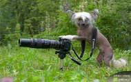 super fotograf x