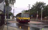 Autobus i rondo.