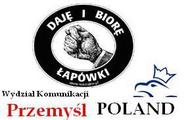 kaczynski spolka