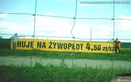 tuje na zywoplot xd xxx