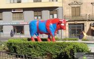 Spider-COW