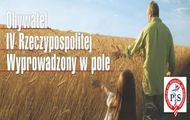 pis w polu