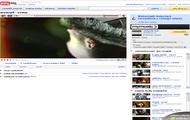 Nowy układ strony YouTube