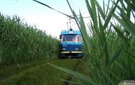 Zielony tramwaj