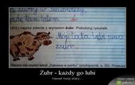 Żubr w trawie puszczy :)