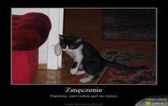 zmęczenie tr