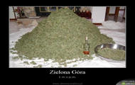 Zielona Gora