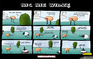 nic nie widze!