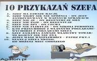 przykazania szefa