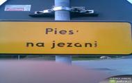 czego polacy nie zrobia