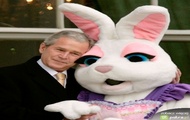 Bush anb bunny