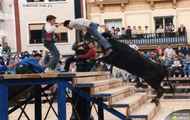 corrida na wesolo