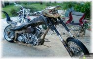Motor z krokodyla