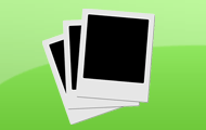 ile widzisz psów ??