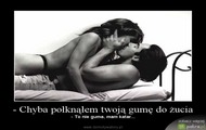 twoja guma do zucia